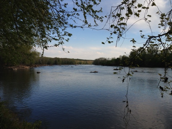 20120410-210408.jpg