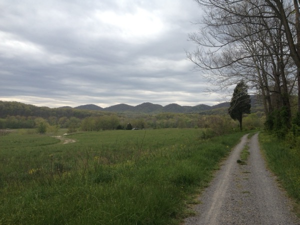 20120418-151517.jpg
