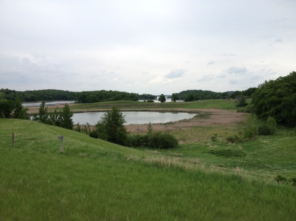 20120524-205714.jpg