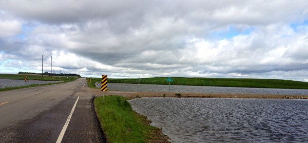 20120528-203358.jpg