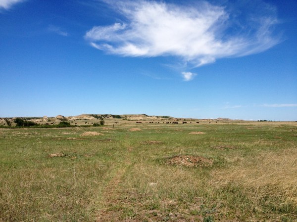20120603-220756.jpg