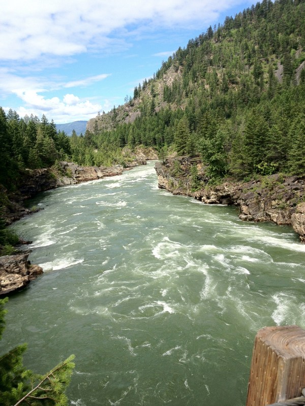 20120621-140322.jpg
